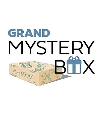 Grand Mystery Box